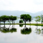 Que se acaben los privilegios y boletos gratis para el Patronato de la Feria de León; pide Salim