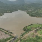 Habitante Cortazar muere al ser atacado por cocodrilos en comunidad de Michoacán