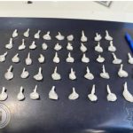 Inauguran Melanie, Libia y Claudia el Centro LIBRE para Mujeres de Silao