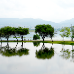 Más de 300 mujeres participan en jornada de autocuidado por el 25 aniversario del IMMujeres