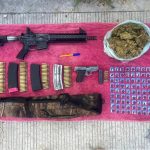 Aumentan 17% las adopciones en Guanajuato durante 2025