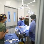 El rugido del rock: Foo Fighters sacude la Feria de León 2026