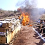 De terrenos abandonados a espacios de convivencia: así avanza la red de parques en León